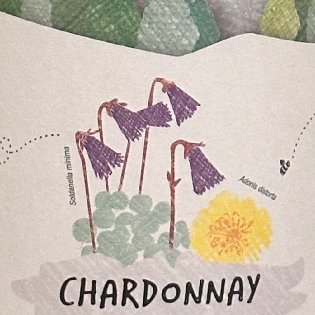 ヴォラ・ヴォレ シャルドネ / カンティーナ・オルソーニャ