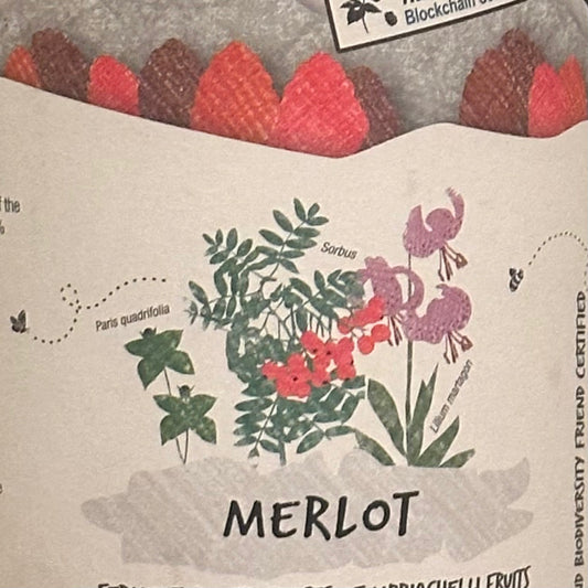 ヴォラ・ヴォレ メルロー / カンティーナ・オルソーニャ